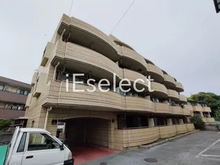 第5センチュリーハイム【2階】の外観