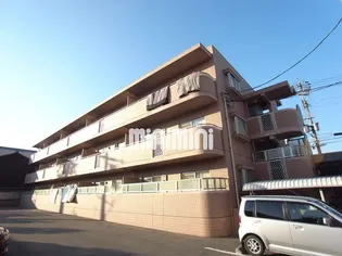 グレイス白滝の画像