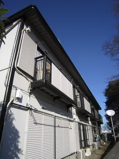 シュロス並木の画像