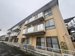 桜丘ローズマンション【3階】の外観