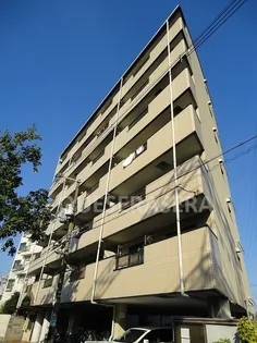 コーエイハイツの画像