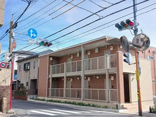 メインクーンの画像