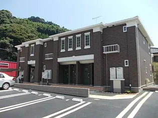 プラシード T Mの画像