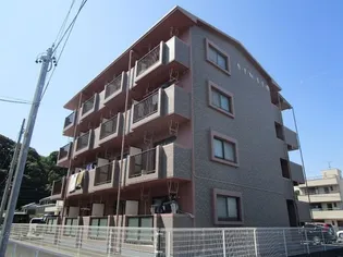 SINSIA高林の画像