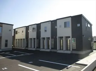 セシボン17の画像