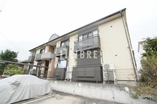 サントリナの画像