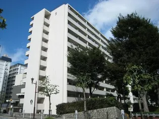 亀戸2丁目公団9号棟の画像