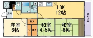 ラフィーネ甲子園【1階】の間取り