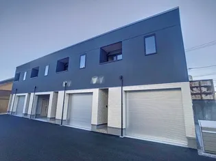 ガレリクラタの画像