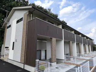 BLUEBERRY Bの画像