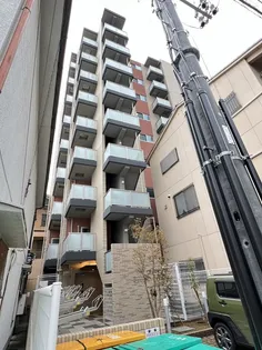 エヌエムキャトフヴァンサンクの画像