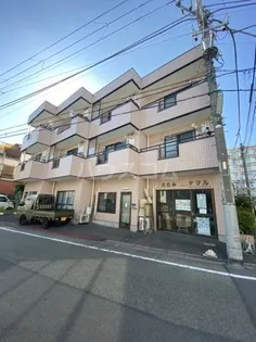 ハイムタマルの画像