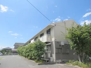 セジュール百舌鳥の画像