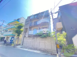 PANBROSIIの画像