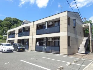 サニー フィールドの画像