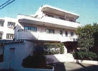 チェリーブラッサムの画像