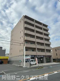 MS ARTE上小阪の画像