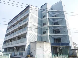 ドマー二の画像