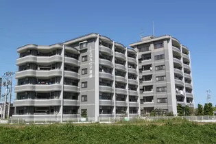 レガシー齋藤の画像