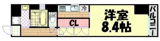 KAISEI本町【11階】の間取り