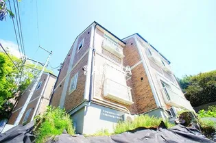 ヒラルダの画像