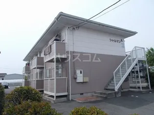 シャルマンの画像