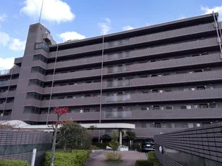 ロイヤルパレス八乙女の画像