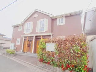 プリムローズ Bの画像