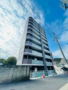 ヴィオラ花丘の画像