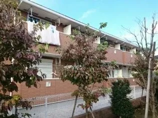 カサブランカ シックスの画像