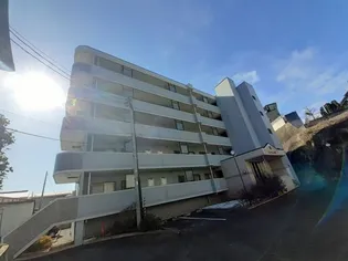 ヴェルドミール藤倉の画像