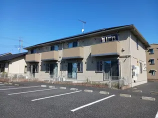 ステラ コートの画像