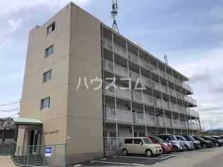 ドエルウィステリアの画像