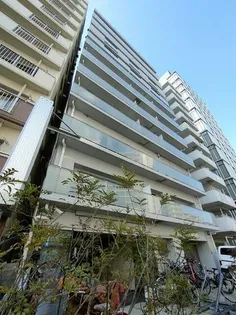 サンライズ入谷の画像