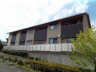 ビーズカラーリッチの画像