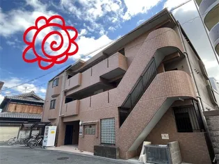 コータコートの画像