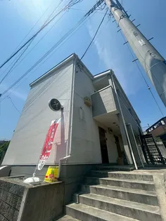 ブラウンナッツの画像