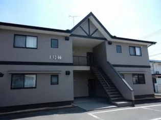 サザンクロスの画像