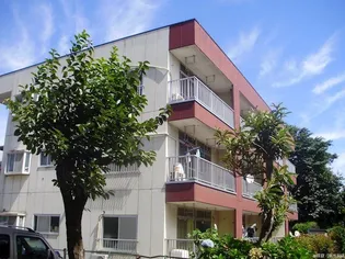 埼玉県所沢市大字城【マンション】の外観