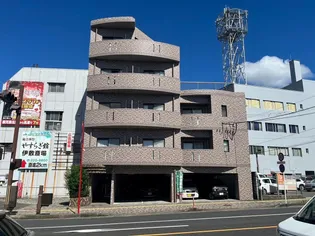 鹿児島県鹿児島市下伊敷1【マンション】の外観