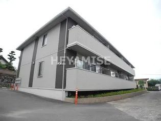 カトレアの画像