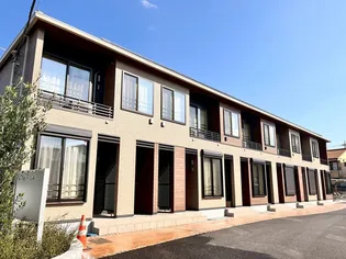 スプリング サニーの画像