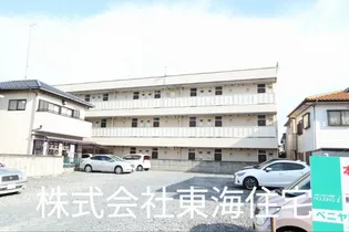 COSMOS N&T Ⅲの画像