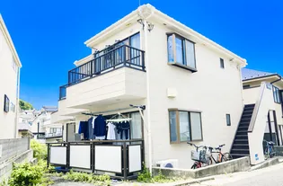 セィスカルタスの画像