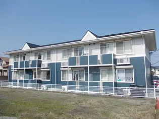 シャイン遠藤Aの画像