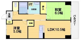 ノイシュロス御室南【3階】の間取り