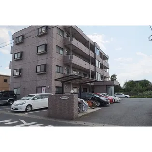 ピソ ベルデの画像