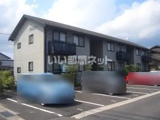 アネスティの画像