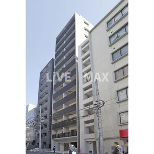 DORF21 SUMIKAの画像