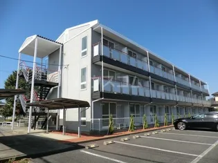 エムズイシハラの画像